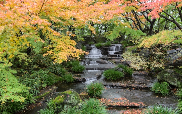 Kokoen, traditioneller japanischer Garten während der Herbstsaison in Himeji, Japan