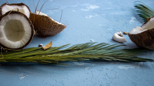 Kokoshälften auf blauem Hintergrund