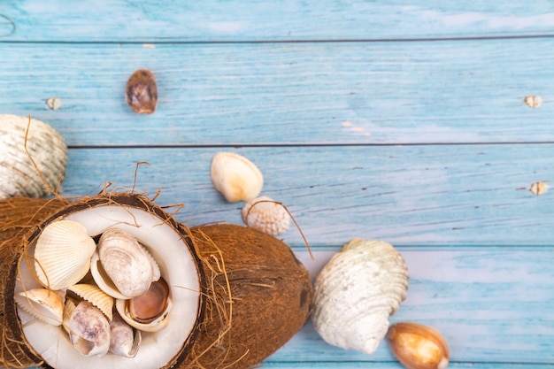 Kokosnüsse und Muscheln auf blauem Holzhintergrund marine Thema
