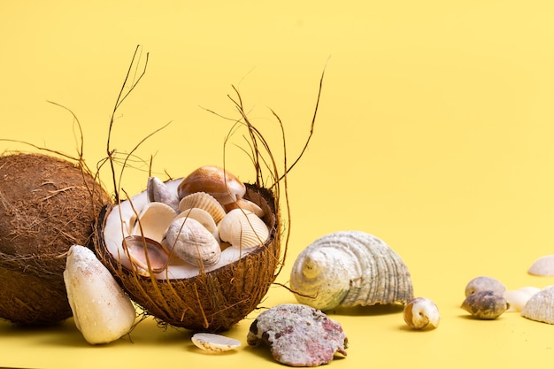 Kokosnüsse und Muscheln auf gelbem Hintergrund. Marine-Thema.