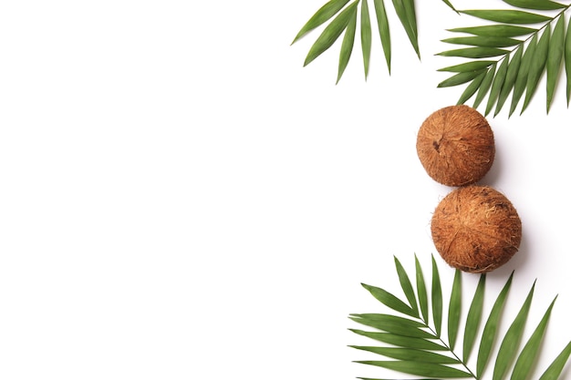 Kokosnüsse und Palmzweige auf weißem Hintergrund im minimalistischen Stil mit Platz für Text