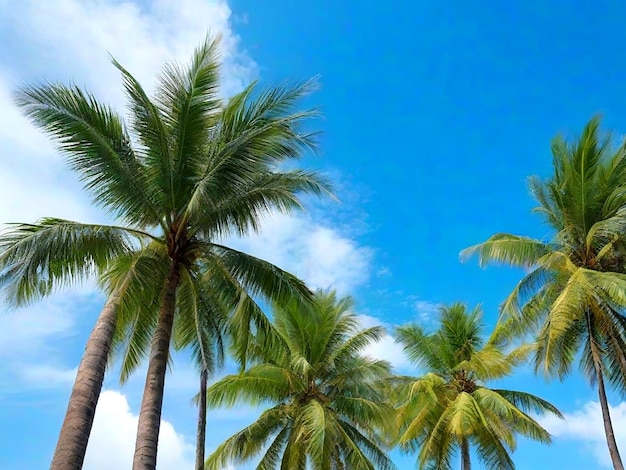 Kokosnussbäume stehen hoch und der Himmel ist klar blau AI_Generated