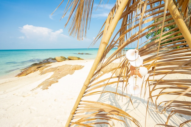 Kokosnussblattbogen auf dem Strand, entspannende Zeit der Sommerferien