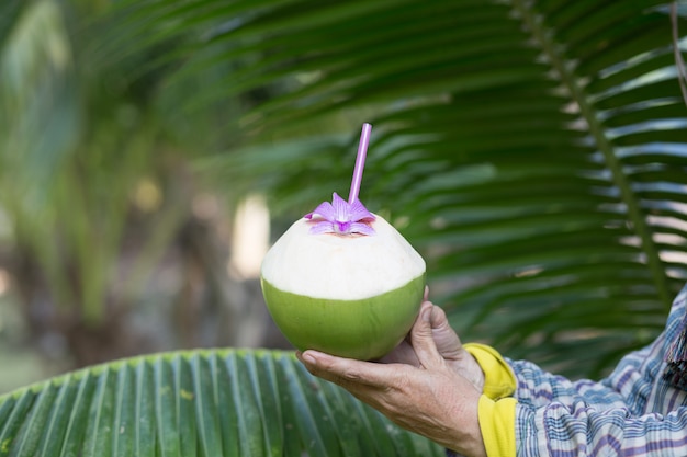 Kokosnusscocktails in der Gärtnerhand