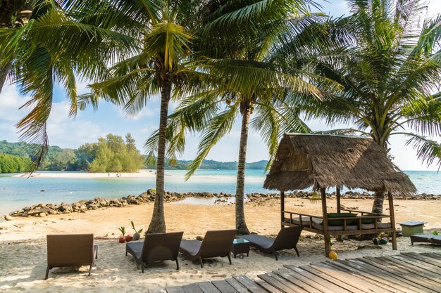 KokosnussPalme auf dem Strand und dem Meer