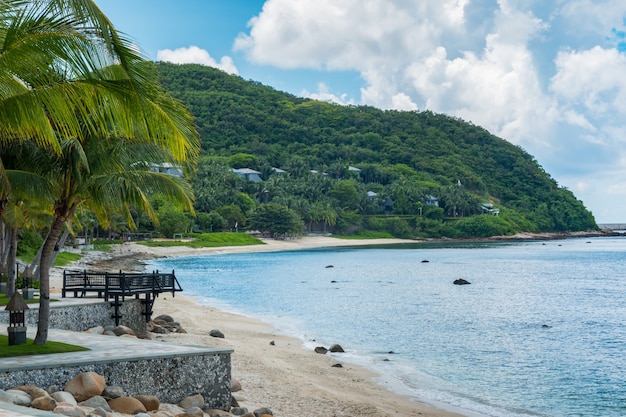 Kokospalme mit schönem tropischem Strand