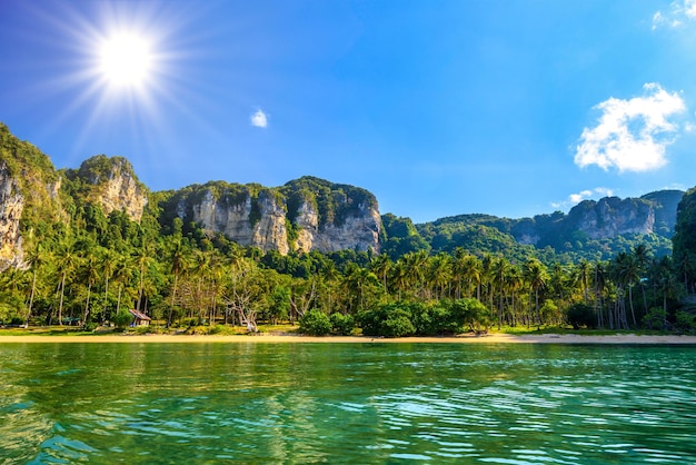 Kokospalmen und Felsen in der Nähe des Wassers Tonsai Bay Railay Beach