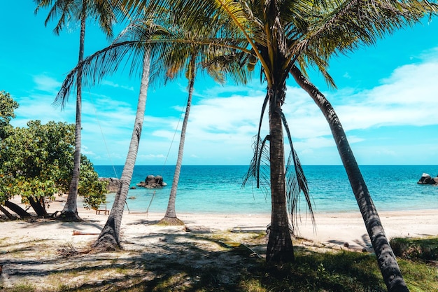 Kokospalmen und tropischer Meeresstrand im Sommer