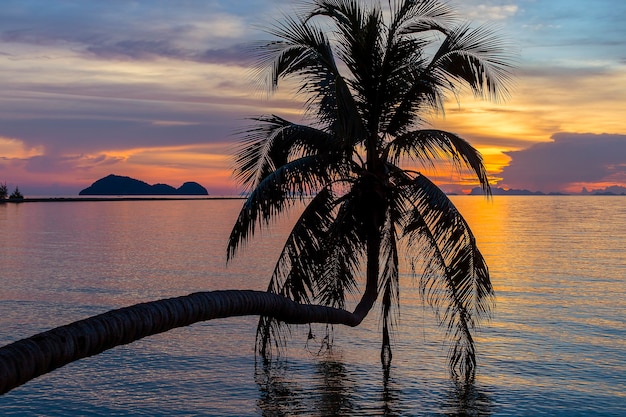 Kokospalmenschattenschattenbild bei Sonnenuntergang am tropischen Strand nahe Meerwasser