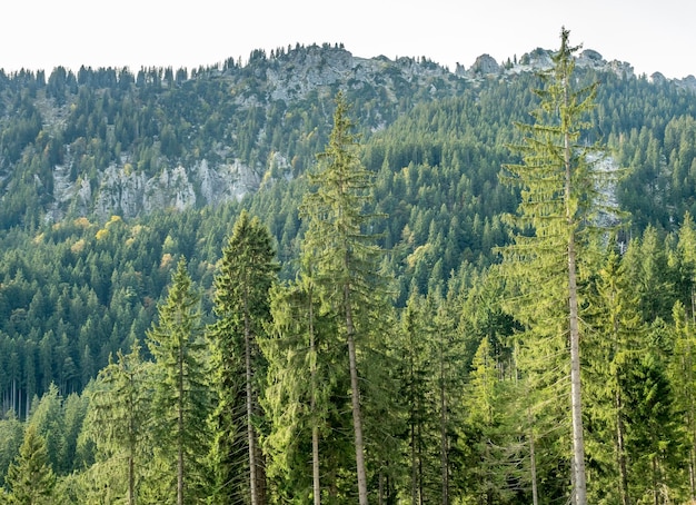 Foto kolbensattel cerca de escenas de oberammergau