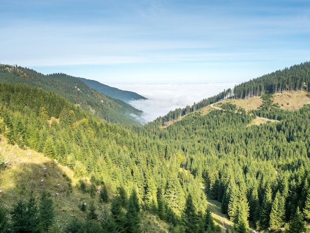 Foto kolbensattel perto de cenas de oberammergau