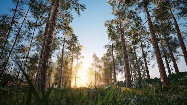 Ökologie klarer Hintergrund Frühlings- und Sommernatur