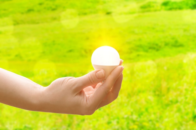 Ökologie und solares Naturenergiekonzept, Hand mit einer leuchtenden Glühbirne auf grünem Hintergrund