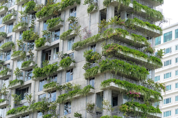 Ökologische Gebäudefassade mit grünen Pflanzen und Blumen an der Steinwand der Fassade des Hauses auf der Straße von Danang Vietnam