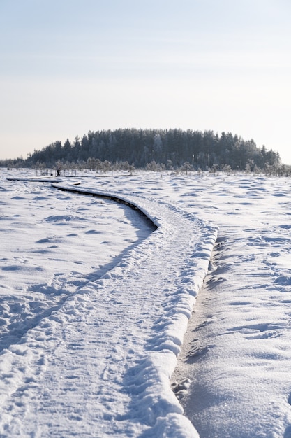 Ökologischer Wanderweg in einem Nationalpark durch gefrorenen Torfmoorsumpf im Winter am sonnigen Tag