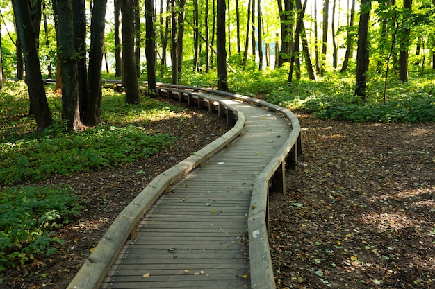 Ökologischer Weg im europäischen Stadtpark.