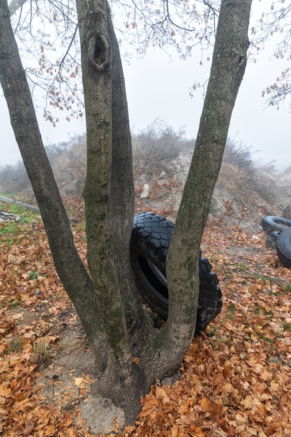 Ökologisches Konzept. Haufen alter Reifen. Müllhalde alter gebrauchter Reifen in der Stadt an einem nebligen Herbsttag