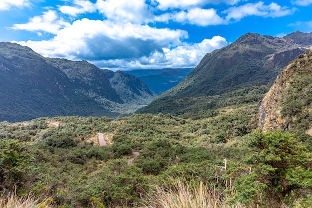 Ökologisches Reservat Cayambe Coca in Ecuador