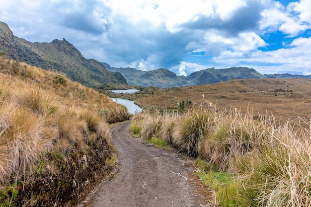 Ökologisches Reservat Cayambe Coca in Ecuador