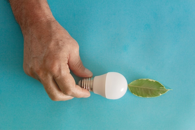 Ökologisches und grünes Energiekonzept mit Glühbirne und Pflanzenblatt Energiesparender Kopierraum