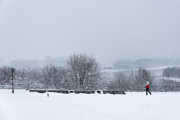 Kolomenskoje-Park, Winterlandschaftsbäume im Schnee