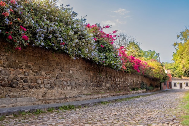 Kolonialstraße mit bunten Pflanzen an der Wand, Steinboden. Bougainvillea-Pflanze.