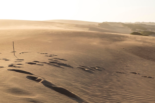 Kolumbianische Küste in La Guajira