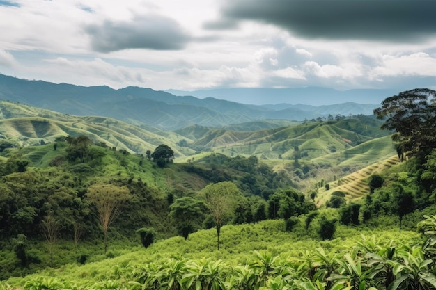 Kolumbianische Landschaft in der Kaffeeregion