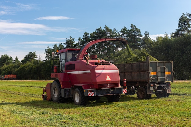 Kombinieren Sie die Ernte einer grünen Wiese und entladen Sie Weizen für Silage auf einen Doppelanhänger.