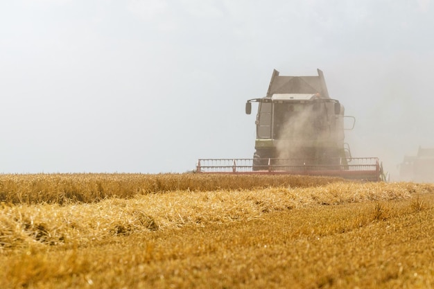 Kombinieren Sie ein Weizenfeld ernten. Kombinieren Sie die Feldarbeit.