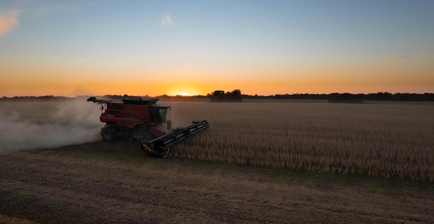 Kombinieren Sie Landschaftslandwirtschaft Bodenfarm