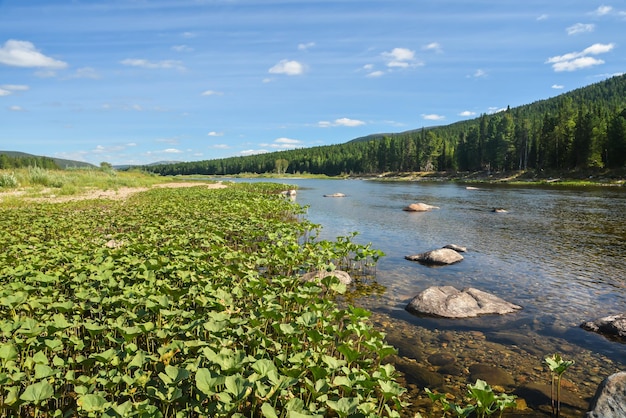 Komi-Urwälder