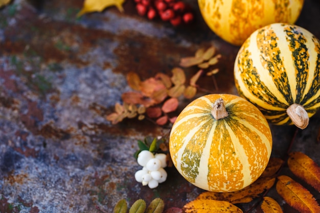 Komposition aus dekorativen Kürbissen und Herbstlaub auf dem Rost, horizontal