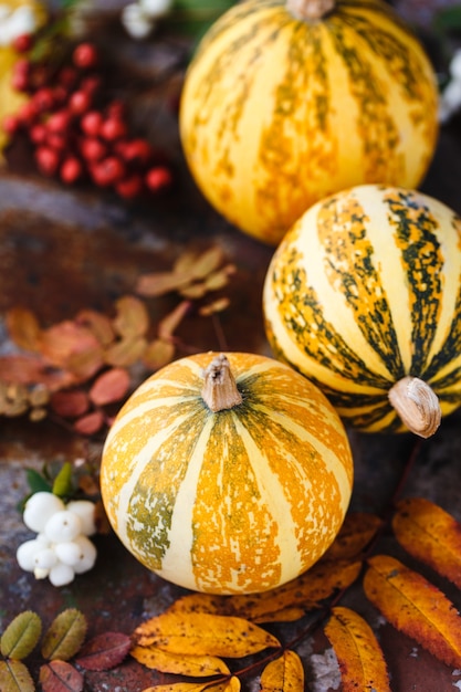 Foto komposition aus dekorativen kürbissen und herbstlaub auf dem rost