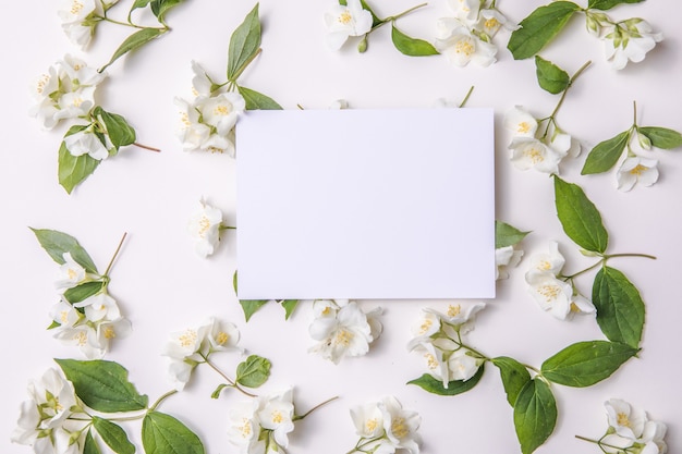 Komposition aus grünen Blättern und Blüten von Jasmin mit einem leeren Blatt für Text auf einem Grau