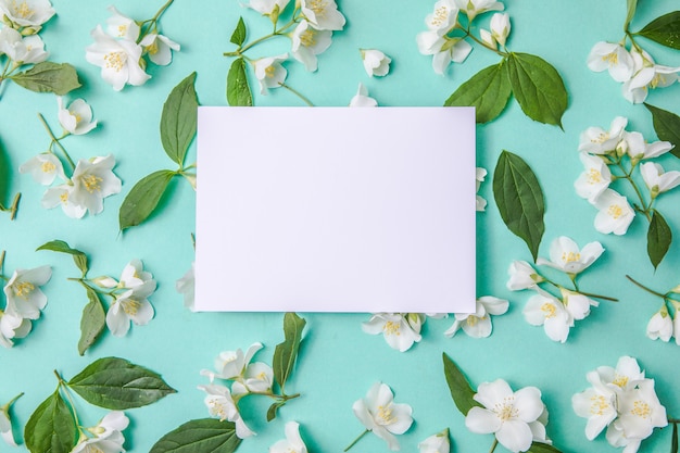 Komposition aus grünen Blättern und Blüten von Jasmin mit einem leeren Blatt für Text