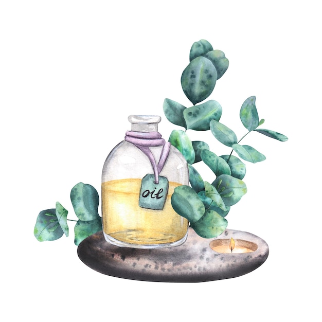 Komposition mit aromatischen Ölen Eukalyptuszweige Kerze Aquarellillustration