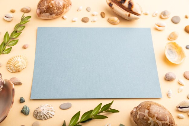 Foto komposition mit blauem papierblatt, muscheln, kieselsteinen, grünem buchsbaum, mockup auf orangefarbenem hintergrund, seitenansicht, kopierraum