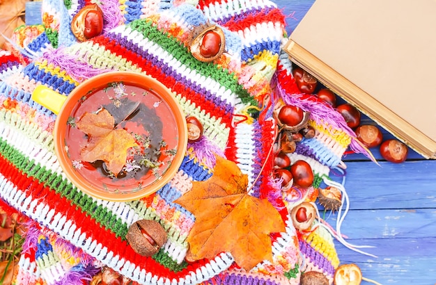 Komposition mit der Keramiktasse Kräutertee und Herbstblättern auf kariertem, hell warm gestreiftem Plaid im Herbstgarten. Altes Buch und Rosskastanien auf blauen Holzbrettern.