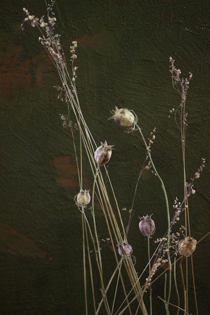 Foto komposition mit getrockneten blumen auf dunklem hintergrund