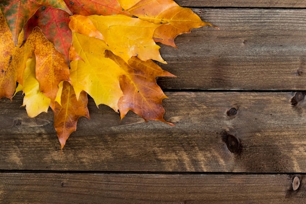 Komposition mit Herbstlaub auf einem Holztischplatz für Text