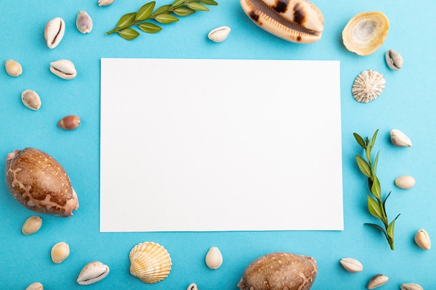 Komposition mit weißem Papierblatt, Muscheln, grünem Buchsbaum. auf blauem Pastellhintergrund.