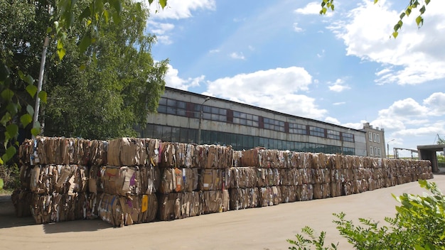 Komprimierter Karton auf dem Gebiet der Recyclinganlage in Ballen, perspektivische Ansicht - Weitwinkel