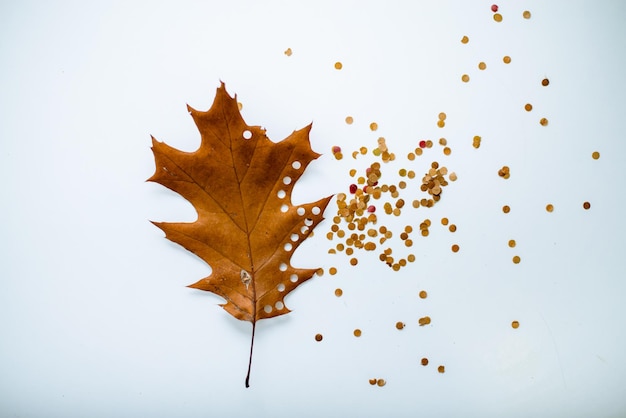 konfetti aus vergilbtem herbstfuchs ökologischer urlaub