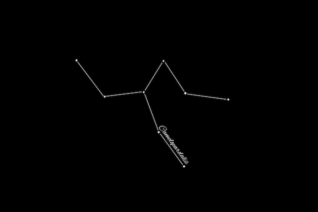 Foto konstellation camelopardalis, sternhaufen, konstellation giraffe