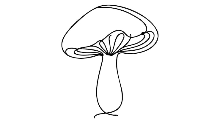 Foto kontinuierliche ein-linien-zeichnung eines pilzes vektor-illustration