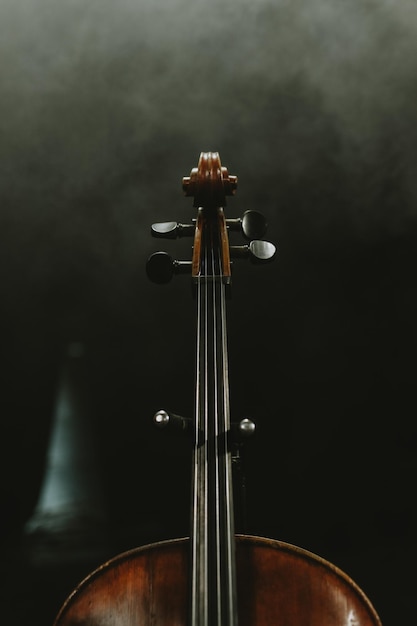 Kontrabass aus der Nähe