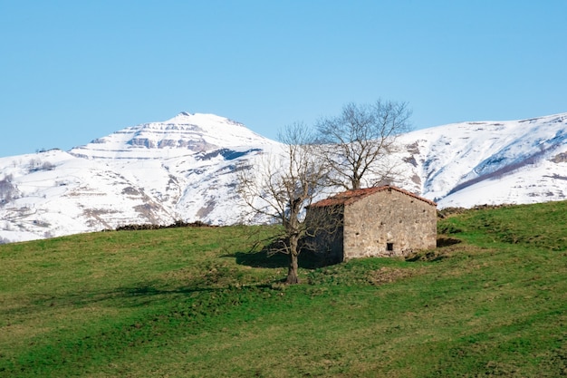 Kontrast der Farben Grün, Weiß und Blau in einer kantabrischen Landschaft