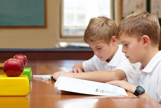 Konzentriert auf ihr Studium Zwei junge Schüler sitzen in der Klasse und lesen ihre Arbeit