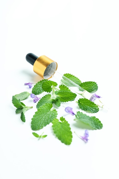 Konzept der Aromatherapie mit Minze auf weißem Hintergrund